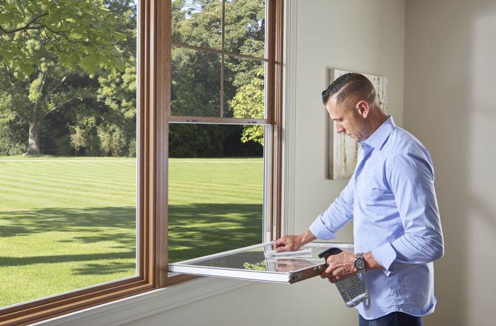 Best Replacement Window Features for Virginia’s Pollen and Allergy Season
